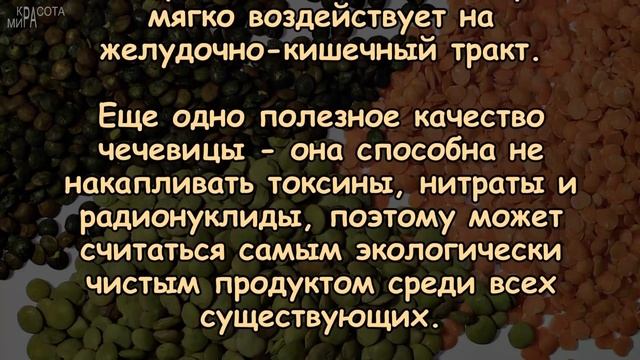 ЧЕМ ТАК ПОЛЕЗНА ЧЕЧЕВИЦА? смотреть онлайн