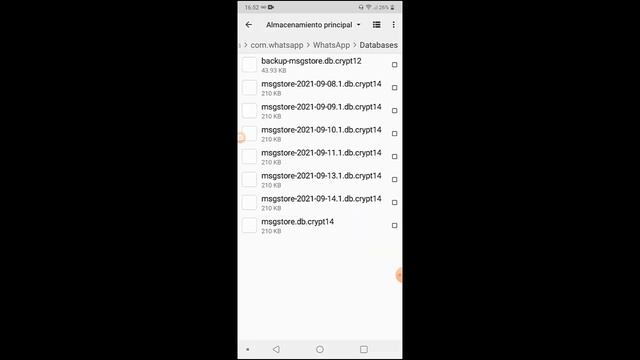 Cómo RECUPERAR chats de WHATSAPP si tienes CRYPT 14 смотреть онлайн