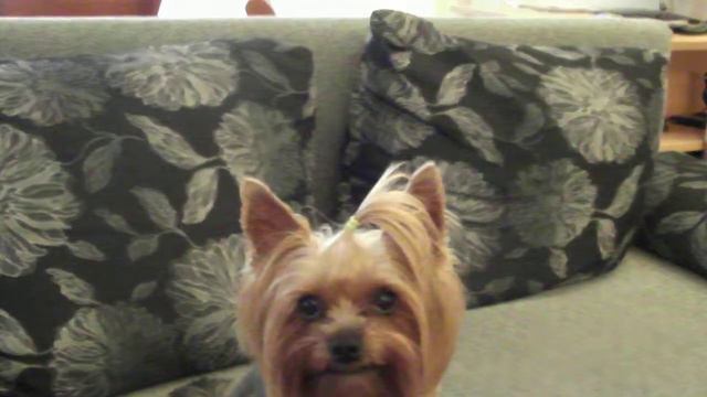 Моята Рита Говори.2 смотреть онлайн