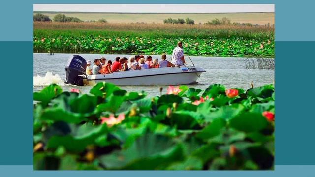 «10 фактов о Краснодарском крае» смотреть онлайн