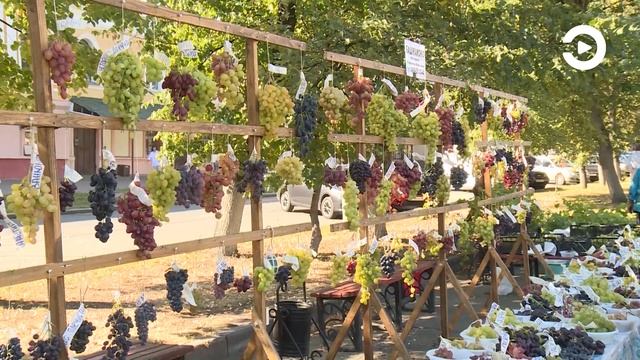 В ближайшие выходные в Пензе пройдет ярмарка местной продукции смотреть онлайн