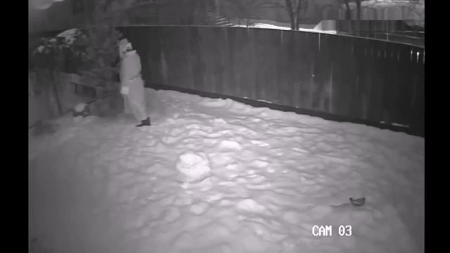 Вот это поворот! Дед Мороз существует на самом деле смотреть онлайн