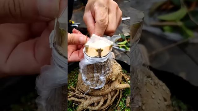 lv_0_20230109091457.mp4 смотреть онлайн