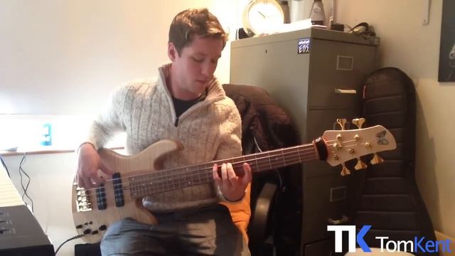 Amelia Lily - You Bring Me Joy (Tom Kent bass cover) смотреть онлайн