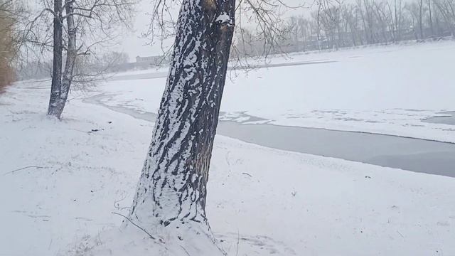 Выпал снег Купание в реке смотреть онлайн