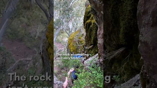 A Notorious Trail In Australia's High Country - Helicopter Spur смотреть онлайн