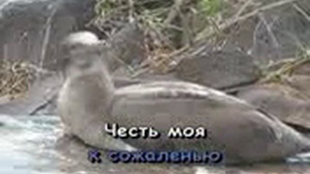 Шура - Холодная луна смотреть онлайн