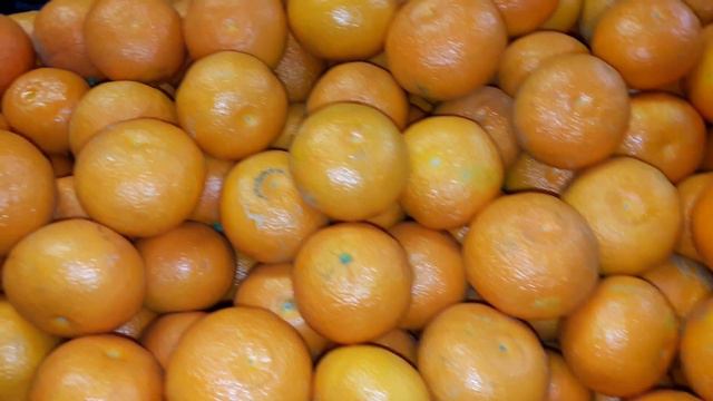 Мандарины Испания смотреть онлайн