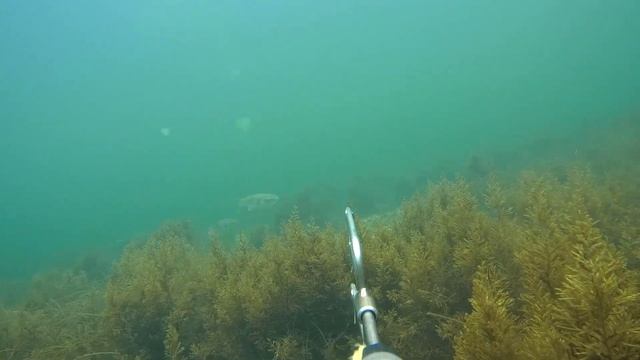 Азовское море осень 2021 смотреть онлайн