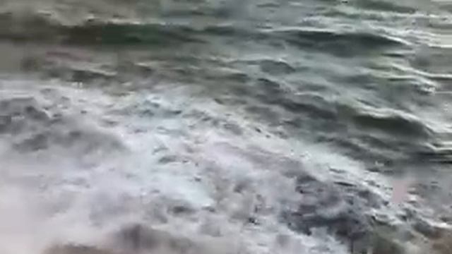 Tossa de Mar 26-12-2008-4 смотреть онлайн