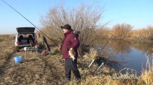 КАРАСЬ СОШЁЛ С УМА. Караси МУТАНТЫ ГИГАНТЫ. Ловля карася на кукурузу и червя