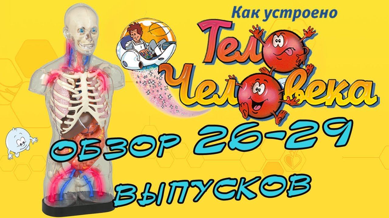 Как устроено тело человека. DeAgostini | 26-29 выпуски смотреть онлайн