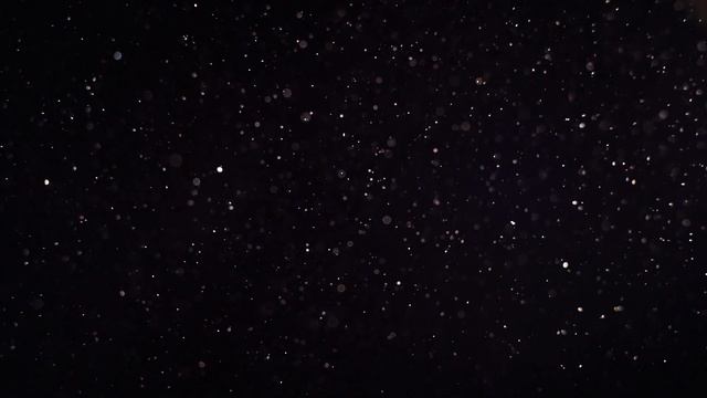 Dust Particles pack, overlay background for After Effects and Adobe Premiere v2 [FREE DOWNLOAD] смотреть онлайн