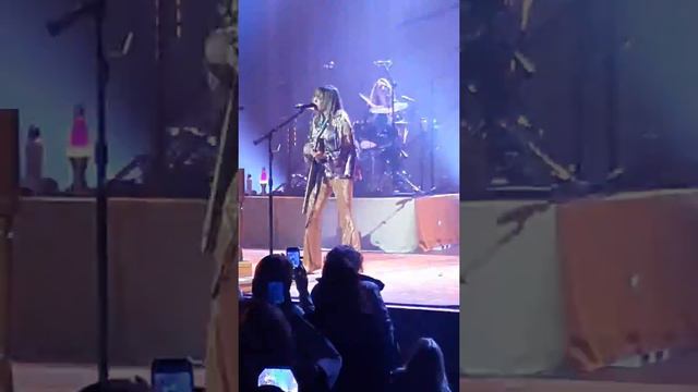 GRACE POTTER - "Paris (Ooh La La)" - Pabst Theater (2/6/20) смотреть онлайн