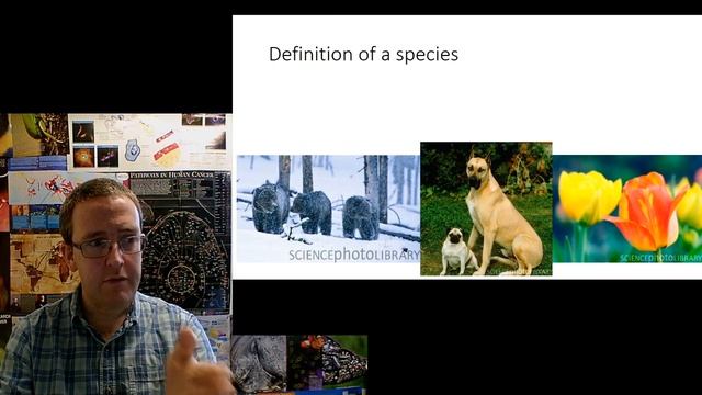 GCSE Biology: Evolution - 2. Wallace and Speciation смотреть онлайн