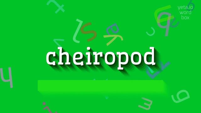 CHEIROPOD - HOW TO PRONOUNCE IT? #cheiropod смотреть онлайн