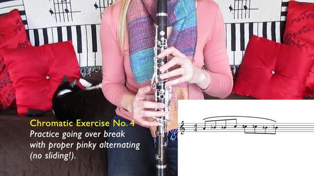 Chromatic Scale & 7 Simple Exercises (Clarinet Basics) смотреть онлайн