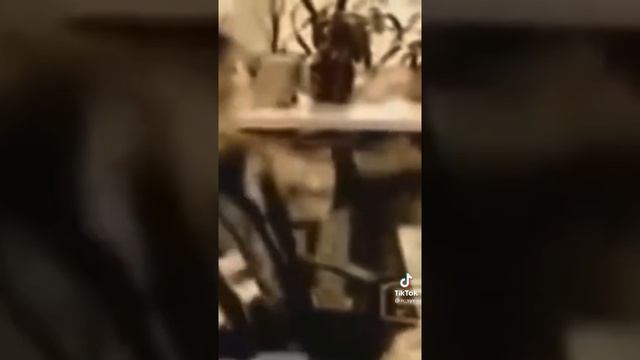 имя лера смотреть онлайн