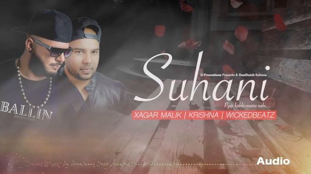 SUHANI CHANDNI | GROOVY REMIX VERSION | SAGAR MALIK FEAT. KRISHNA смотреть онлайн