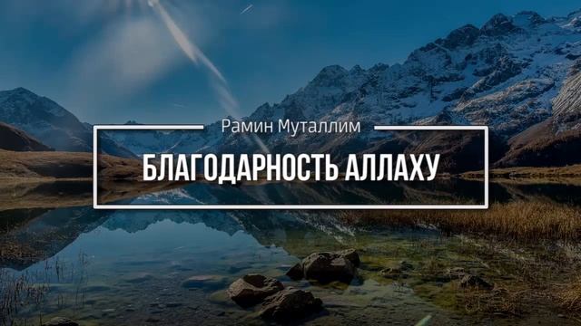 Благодарность Аллаху смотреть онлайн
