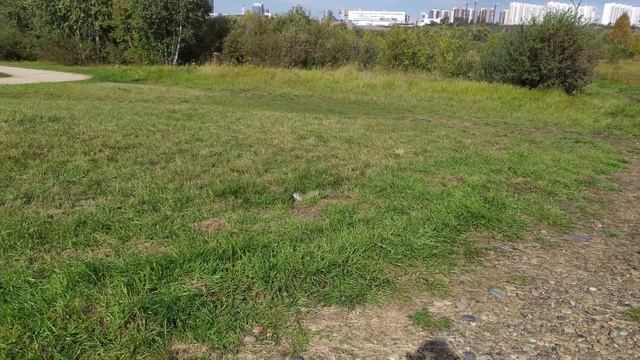Остров Татышева сентябрь смотреть онлайн