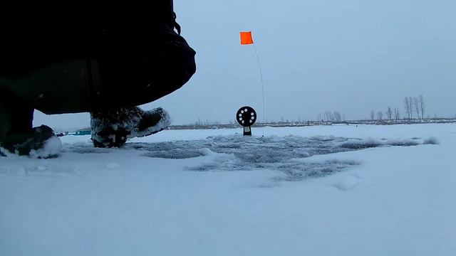 щучка на ерша, на жерлицу 2016-2017 смотреть онлайн