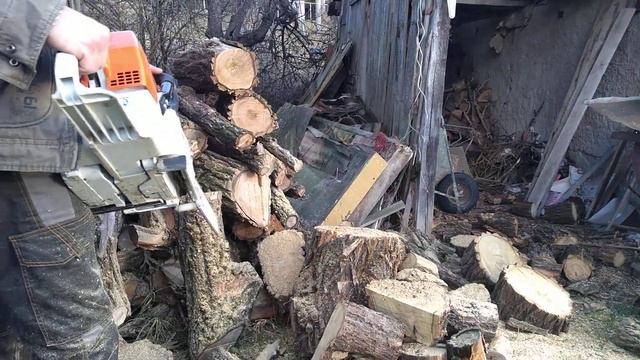 30min With STIHL MS 880