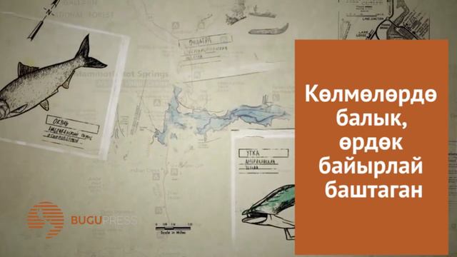 Бир токойду сактап калган 14 карышкыр смотреть онлайн
