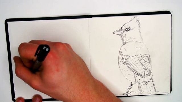 Smart Art Box: What’s In The Box? | January 2020 смотреть онлайн