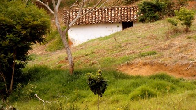 Cidade De Miracema E Sua Zona Rural. Dezembro De 2012 E Início De Jan.2013. Fotografias.