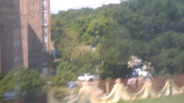 DSCN6000.AVIТурбаза Приморская Новомихайловский 2022