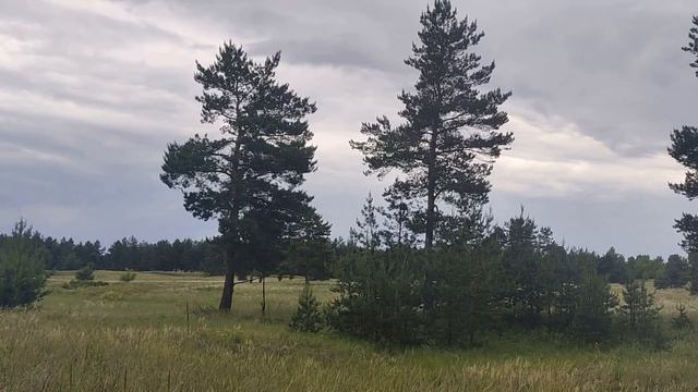 30 июня народный праздник Мануйло и Савелий. Народные приметы и традиции . Что нельзя делать. смотреть онлайн