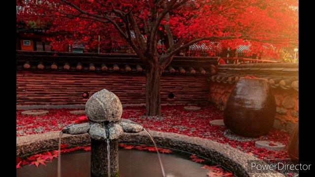 320 Читаю книгу Хризантема Джоан Ито Барк. Глава 17,18 смотреть онлайн