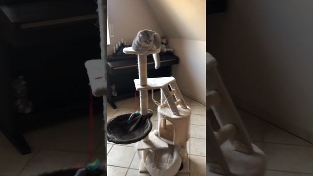 Как быстро навести порядок помыть полы и при этом не устать? смотреть онлайн