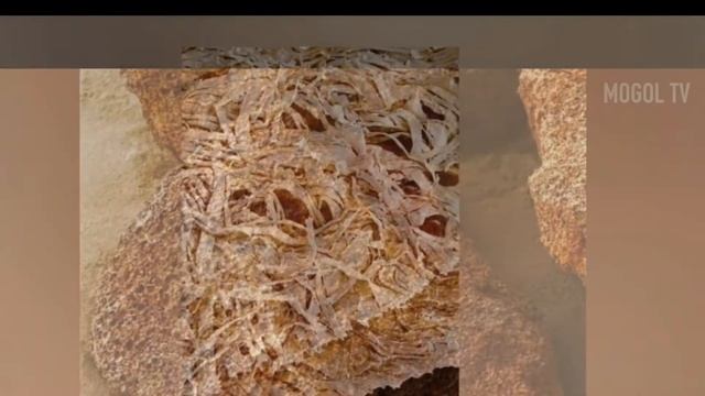 Вещи под микроскопом смотреть онлайн