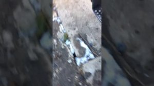 Замена ПГУ МАЗ