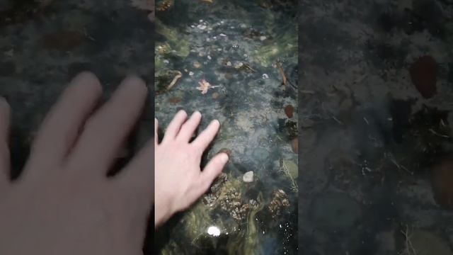 эпоксидная смола, ремонт в душе смотреть онлайн