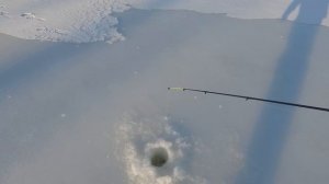 ЛОВЛЯ ОКУНЯ НА ЖУКА-БАЛДУ!!! КАМЕРА НЕ ВЫДЕРЖАЛА МОРОЗА!!!