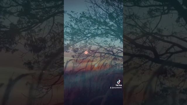 Автор:Валерий Иванович Щербинс.Остановите время, я сойду. смотреть онлайн