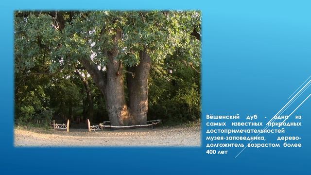 По шолоховским местам смотреть онлайн