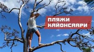 Обзор пляжей и острова Кайонсаари. Побережье Ладоги