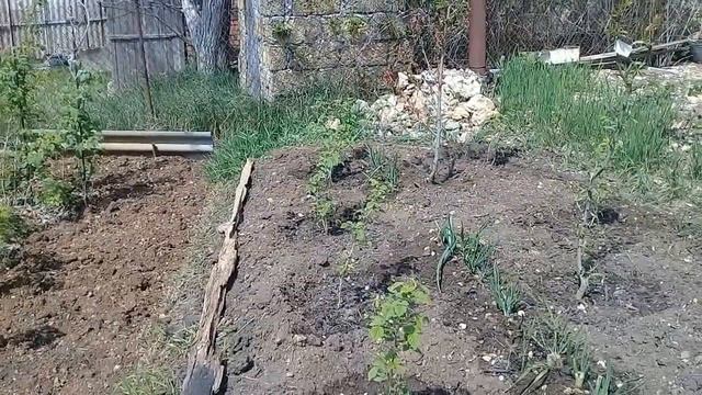 Весеннее настроение... Дача. 01.05.2021. смотреть онлайн