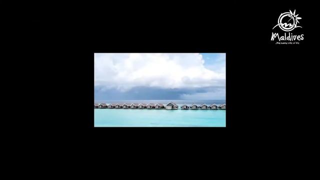 A Dozen Must Do Experiences in the Maldives смотреть онлайн