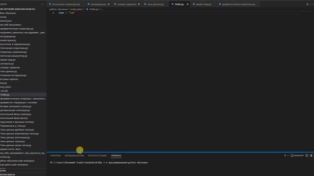PYTHON Программирование в трейдинге ДЛЯ ПРОСТЫХ людей Часть 1 смотреть онлайн