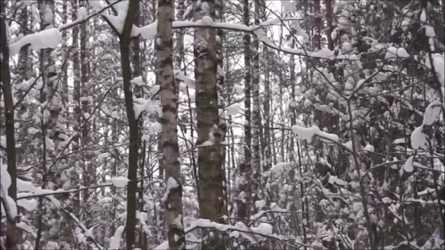 EDGUN LESHIY | ЭДГАН ЛЕШИЙ | Больше чем игрушка. смотреть онлайн