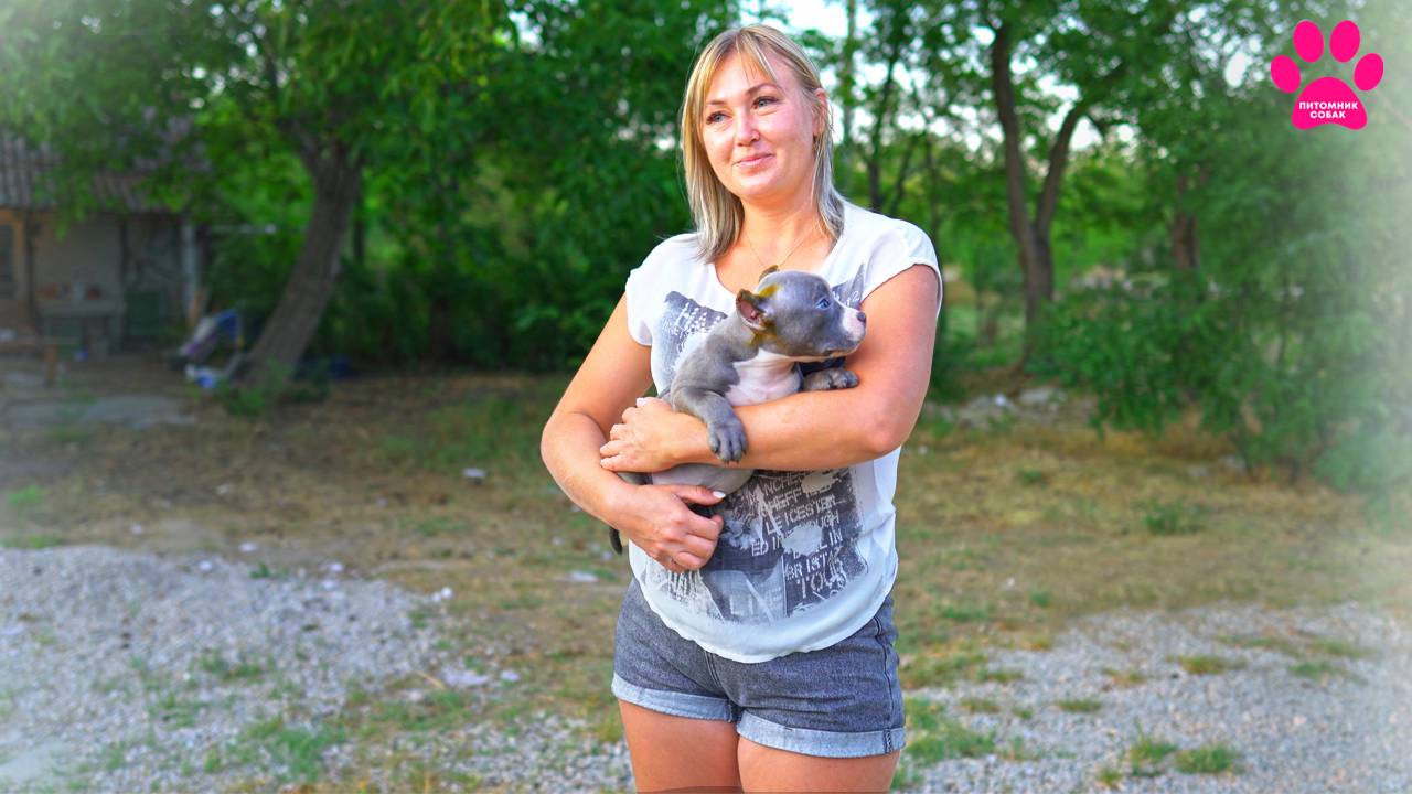 Аня рассказала почему и когда уедет! Щенки все проданы за неделю, но остался один топ-щенок! смотреть онлайн