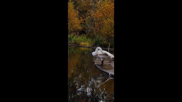 ?Праздничные дни?/ ВЛОГ? смотреть онлайн