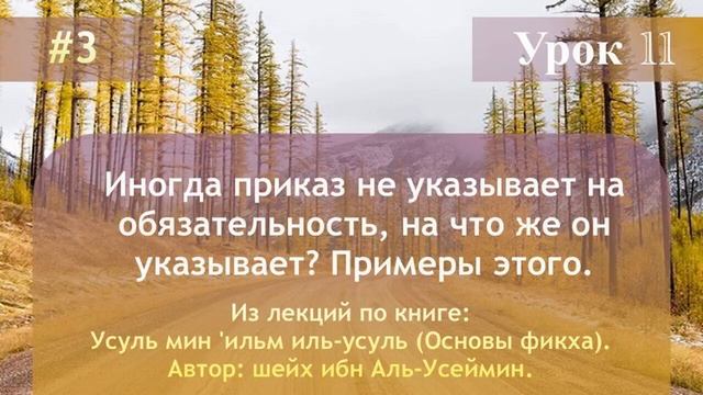 Иногда приказ не указывает на обязательность, на что же он указывает? Примеры этого. смотреть онлайн