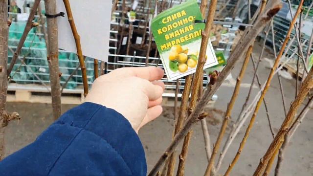 Russians Are Starting To Prepare Now My  Russian Family  How We Live In Russia