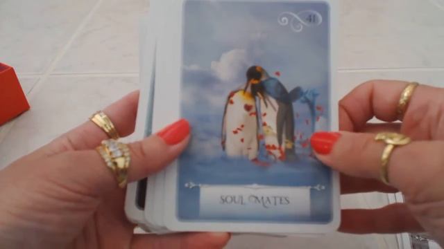 Traceyhd's Review Of The Wisdom Of The Oracle Divination Cards смотреть онлайн